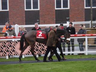 Race 4 b Old Guard.jpg
