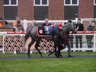 Race 4 c Air Horse One.jpg