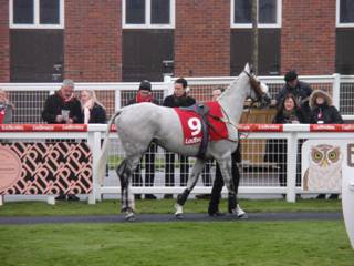 Race 4 i Master Dancer.jpg