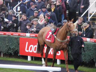Race 4 l Jaleo.jpg