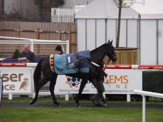 Race 5 a Charli Parcs.jpg