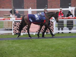 Race 5 e Poppy Kay.jpg