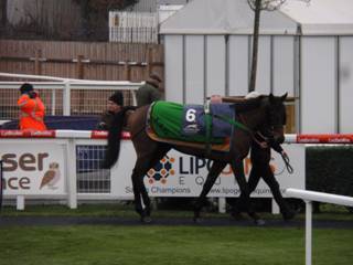 Race 5 f Master Of Irony.jpg