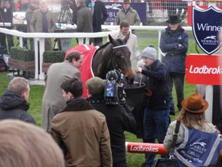 Race 5 o High Bridge.jpg