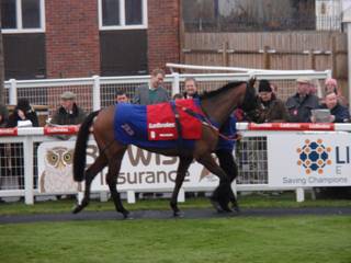 Race 6 PR h Royal Vacation.jpg