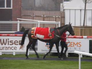 Race 7 e Duke Of Navan.jpg