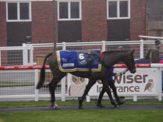Race 7 f Festive Affair.jpg