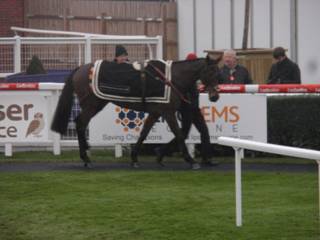 Race 7 g Baby King.jpg