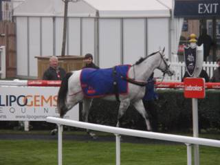 Race 7 h1 Greybougg.jpg