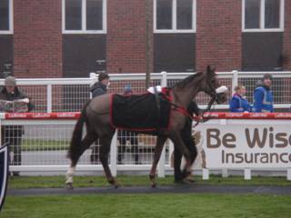 Race 7 i Dream Bolt.jpg