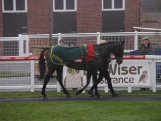 Race 7 j Rock On Rocky.jpg