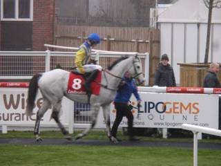 Race 7 g Greybougg.jpg