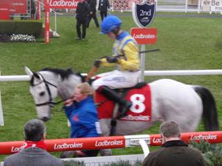 Race 7 k Greybougg again.jpg