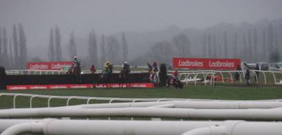 Race 7 l Duke of Navan falls.jpg