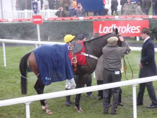 Race 7 o Theinval 3rd.jpg