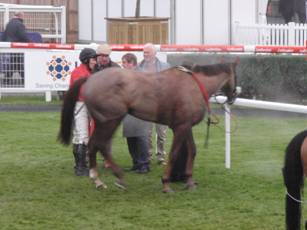 Race 7 p Dream Bolt.jpg