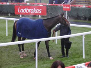 Race 7 w Theinval.jpg
