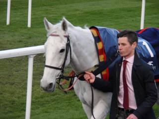HGC Smad Place.jpg