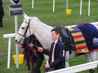 HGC Smad Place 2.jpg