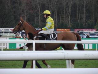 HGC Parade Triolo D'Alene.jpg