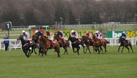 Sandown Park 05 Feb 2011 c r.jpg
