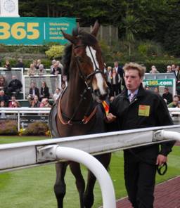 Sandown Park 25 Apr 09 Kauto red.jpg