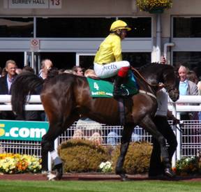 Sandown Park 25 Apr 09  red b.jpg