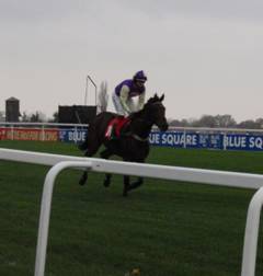 Sandown Park R3 b r.jpg