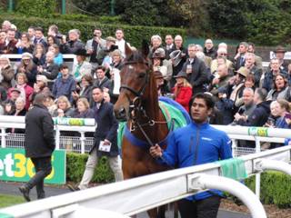 1 Cue Card.jpg