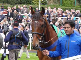 2 Cue Card.jpg