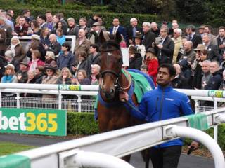 3 Cue Card.jpg