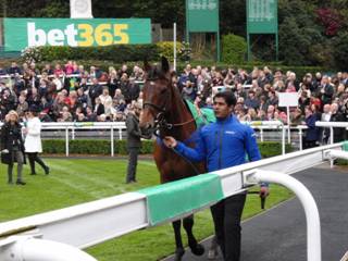 5 Cue Card.jpg