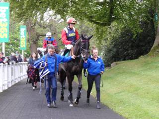 Race 1 a Notre Ami.jpg