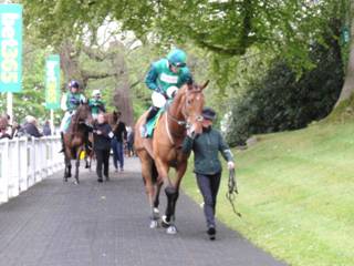 Race 1 c Ballymoy.jpg