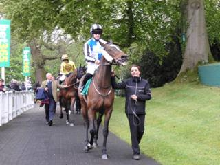 Race 1 f Taxmeifyoucan.jpg