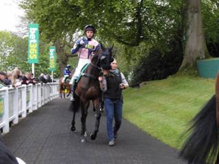 Race 1 j The New Pharoah.jpg