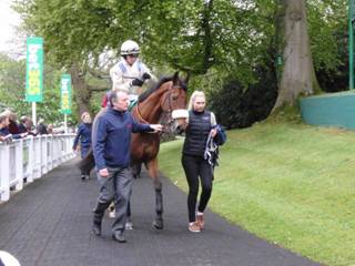 Race 1 p Going Gold.jpg