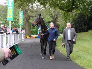 Race 2 e Menorah.jpg