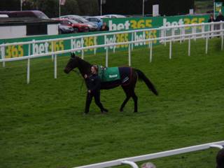 Race 2 l Menorah.jpg