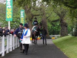 Race 3 f Altior.jpg