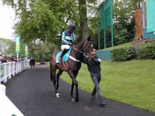 Race 3 g Altior.jpg
