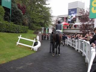 Race 3 h Altior.jpg