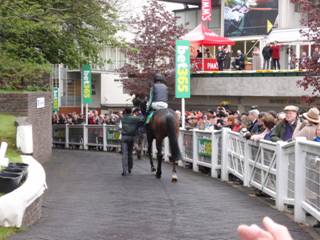 Race 3 i Altior.jpg
