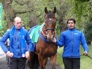Race 3 k Cue Card.jpg
