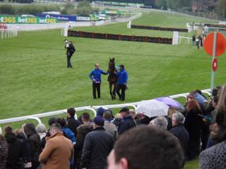 Race 3 m Cue Card.jpg