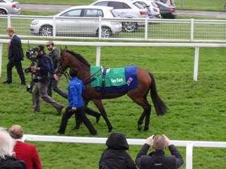 Race 3 n Cue Card.jpg