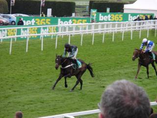 Race 3 p Altior wins.jpg