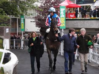 Race 3 v Special Tiara.jpg
