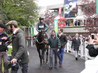 Race 3 w Altior.jpg