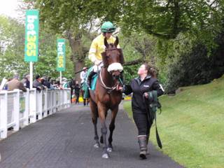 Race 4 b Carole's Destrier.jpg